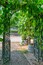 Pathway to a vine yard through the iron cast gate