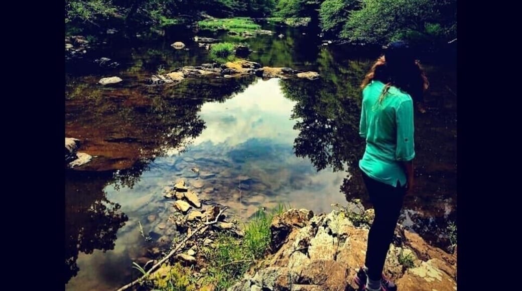 The beauty of nature is everywhere đđđČ