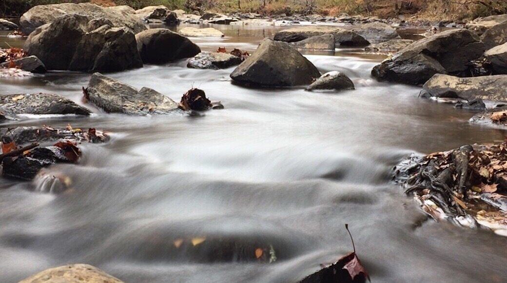Great state park near Durham, NC. Trails and hiking. River. Nature.