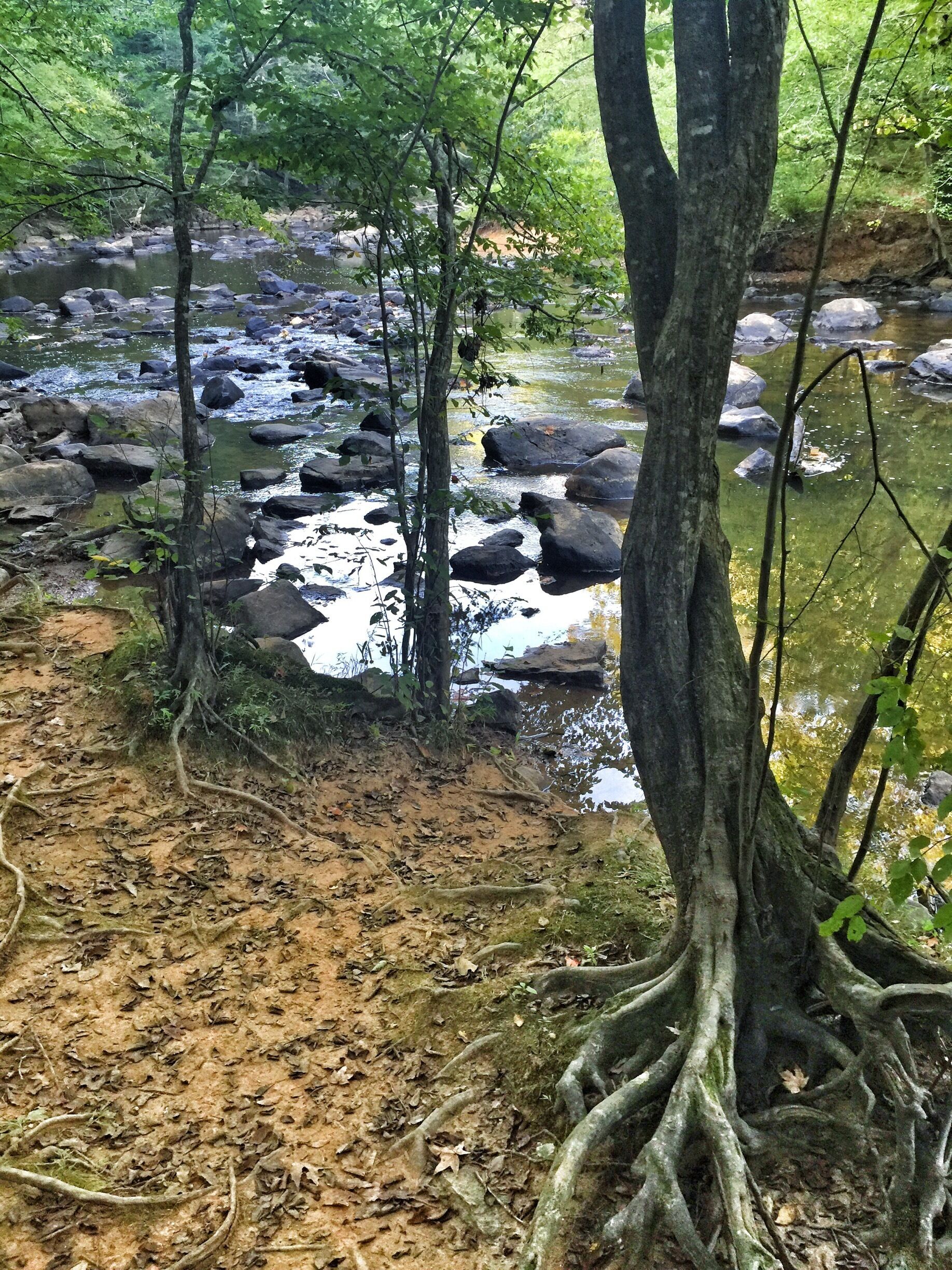 It is surprising that such a quiet oasis exists in the middle of the bustling Durham. There are beautiful trails and some moderately steep climbs that can give you a decent workout. 