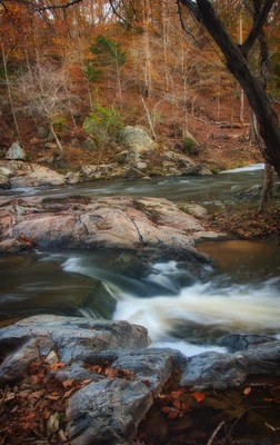 Eno River hike