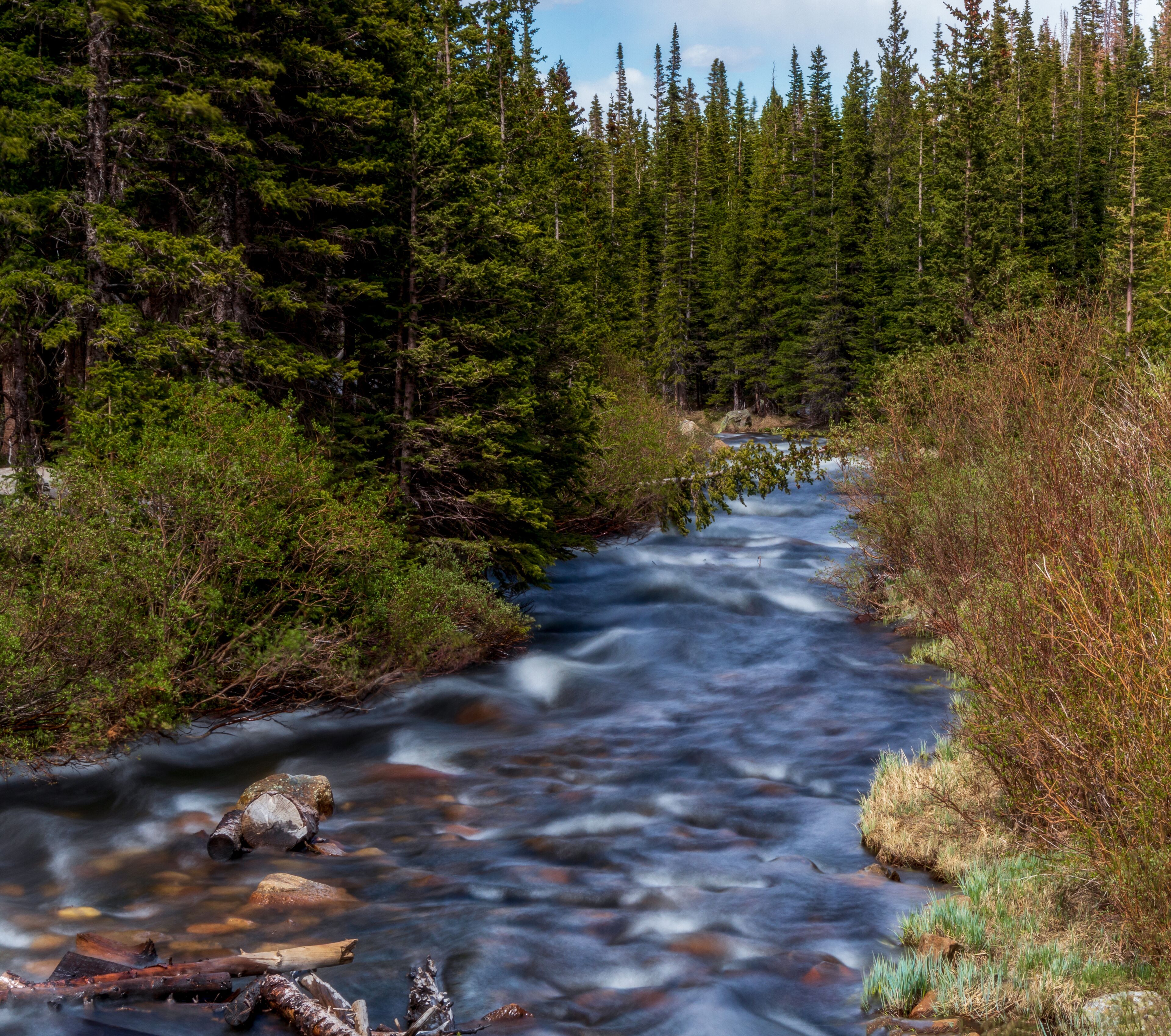 South Saint Vrain Creek flowing into the Brainard lake near Nederland, Colorado, on a spring day