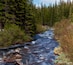 A flowing river surrounded by dense forest.