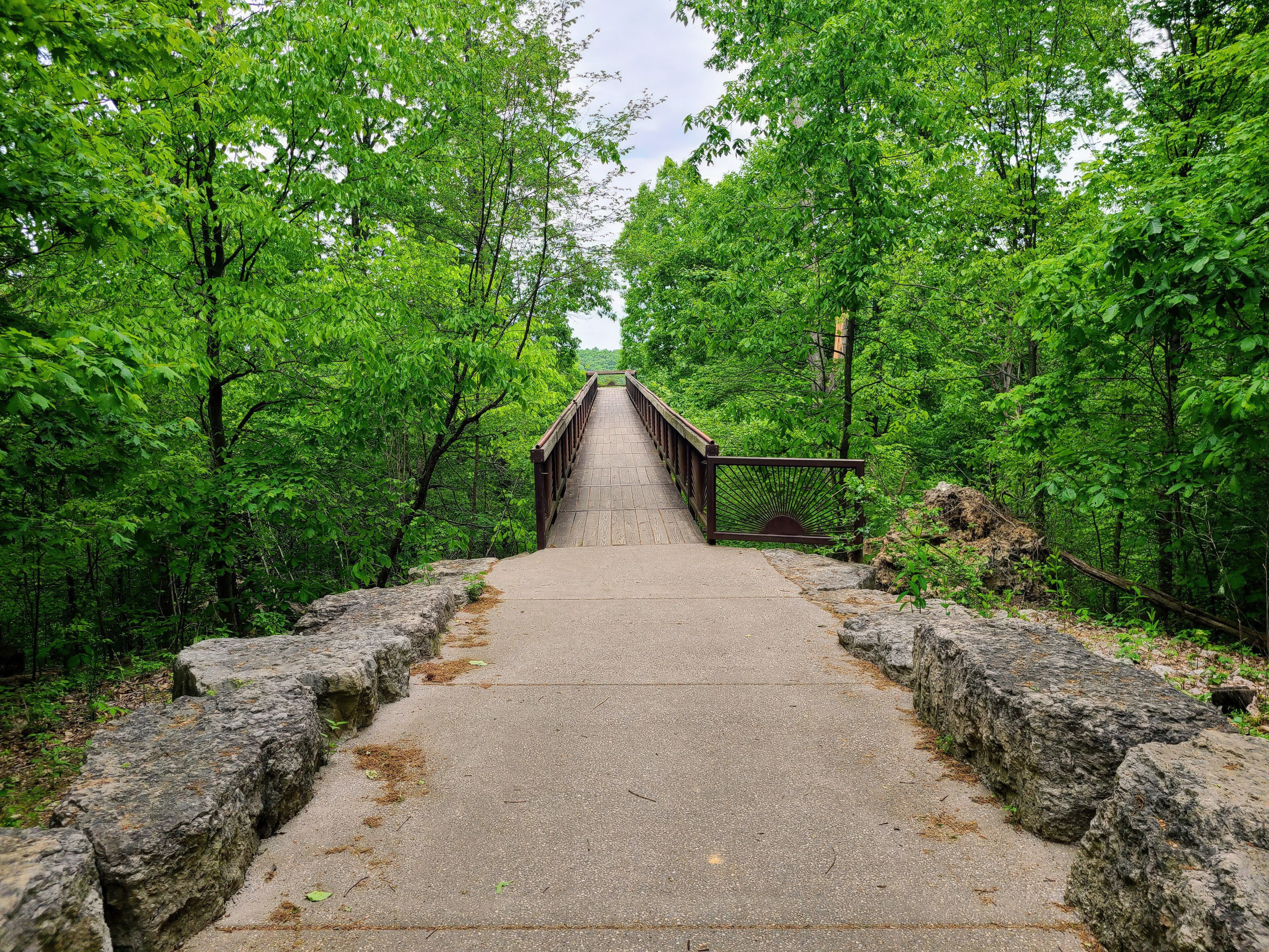Serene Walking Path to Rustic Wooden Bridge in Green Forest