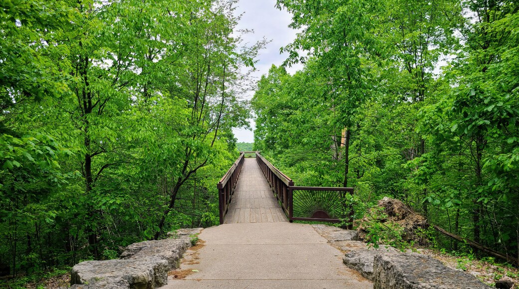 Walking Bridge