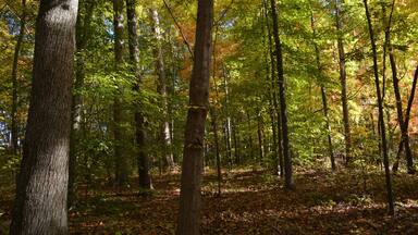 Beautiful park that has fishing, camping, hiking every where.