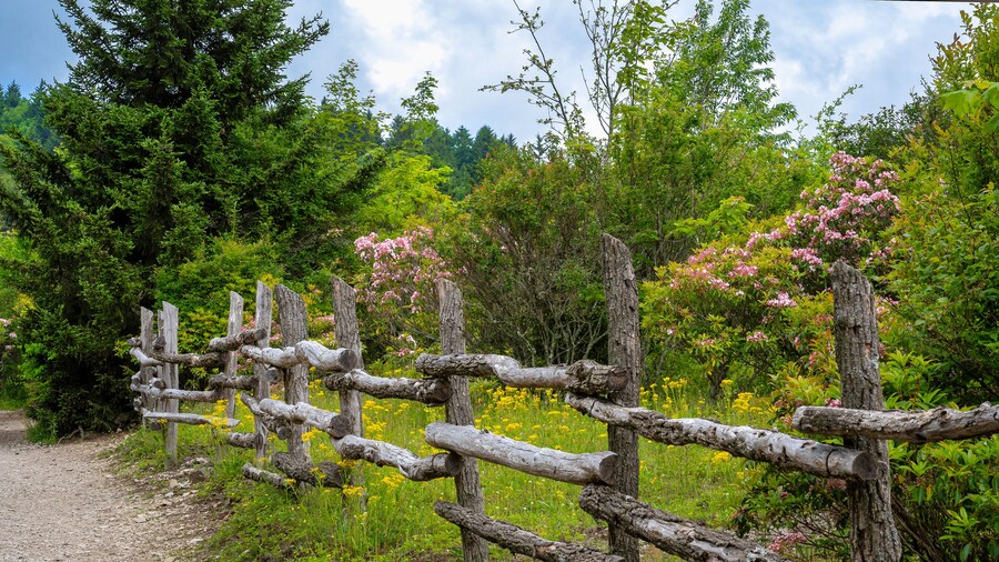 Grayson Highlands State Park