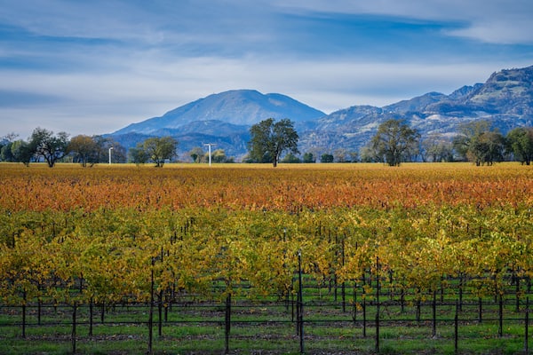 Mt Helena Napa Valley