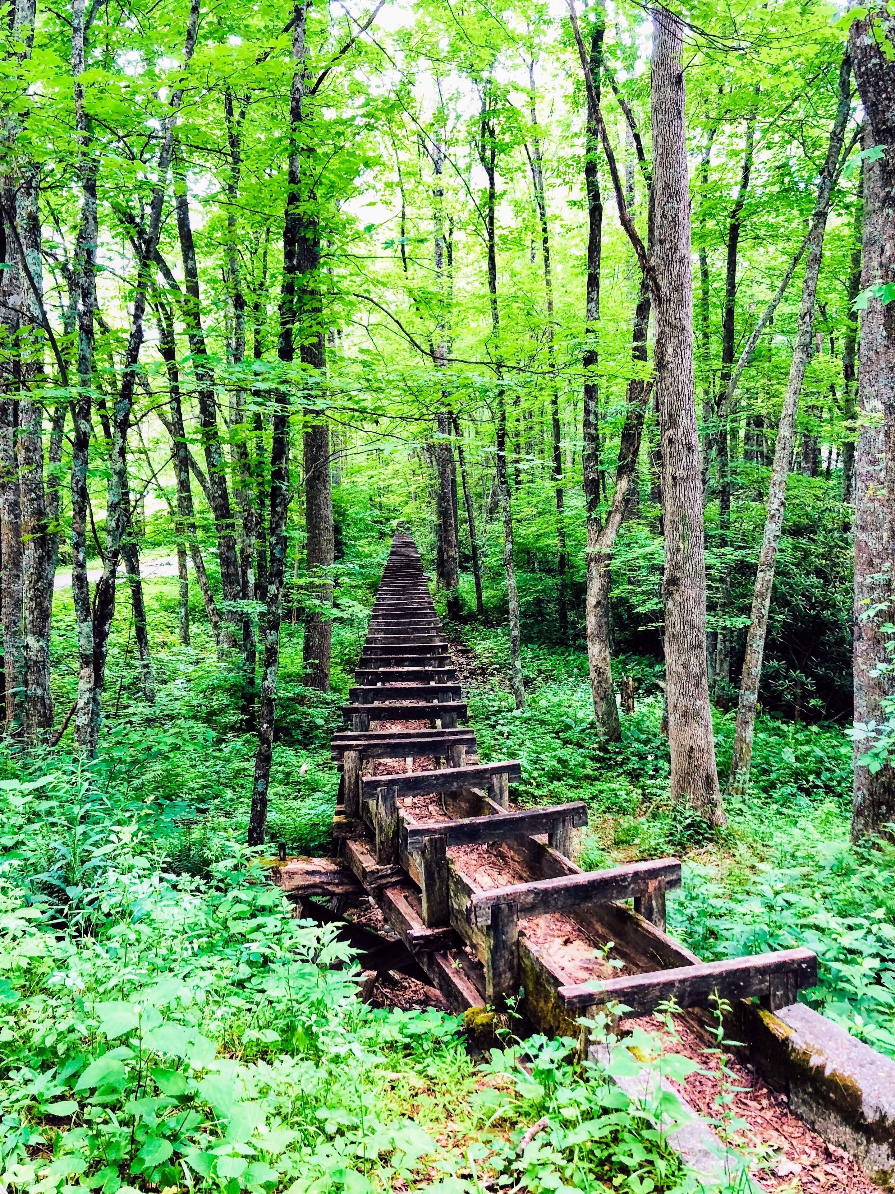 Was used long ago at this mill and now it makes a beautiful picture.