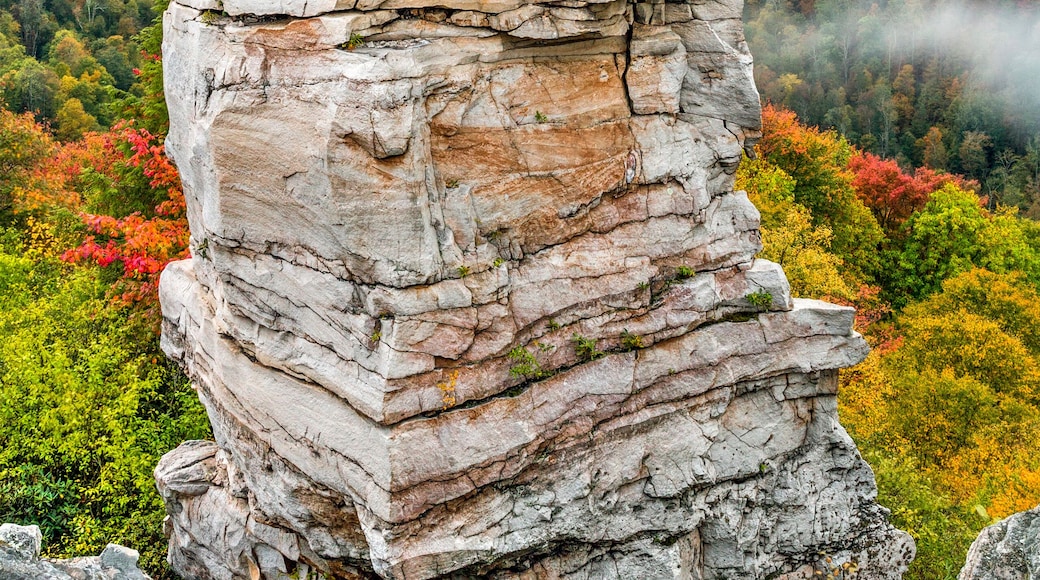 Pinnacle Rock State Park
