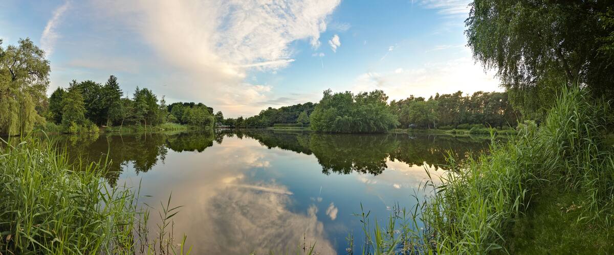 Peaceful scene from lovely small lake near Frankfurt in twillight