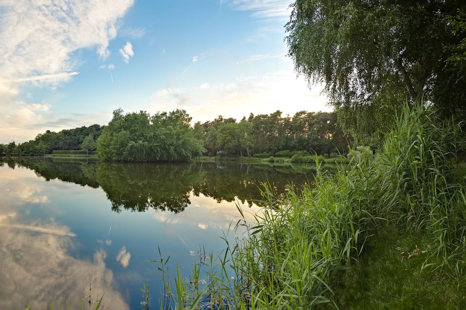 Une rivière paisible, bordée d’une végétation luxuriante et d’arbres.