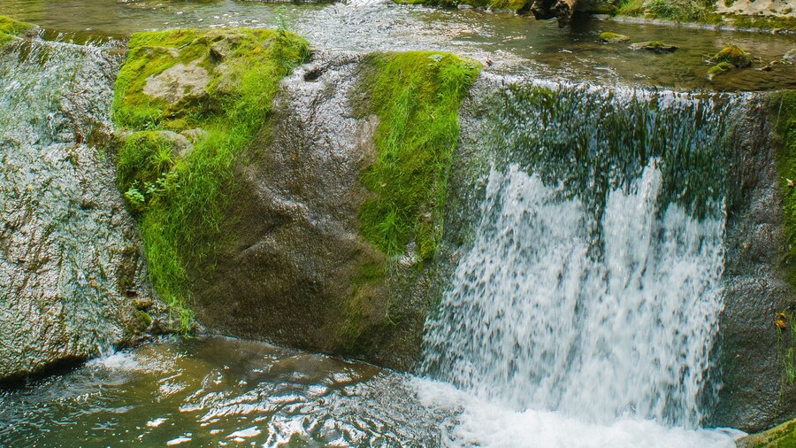 フォーリング スプリング滝