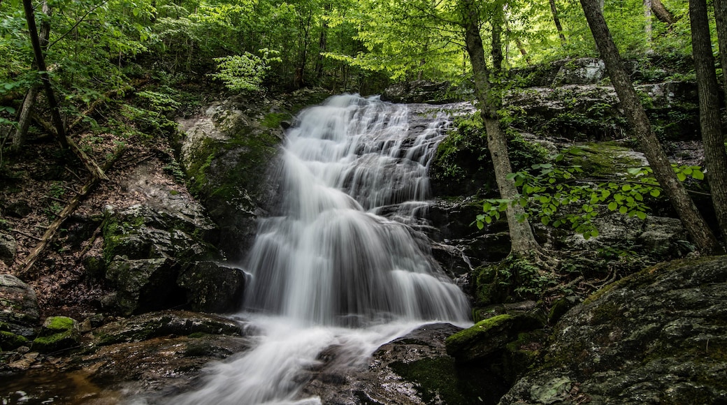 Lowe portion of Crabtree Falls in Massie Mills, VA
#crabtreefalls
#exposure
#blueridgemountains
#waterfall
#massiemills
#virginia