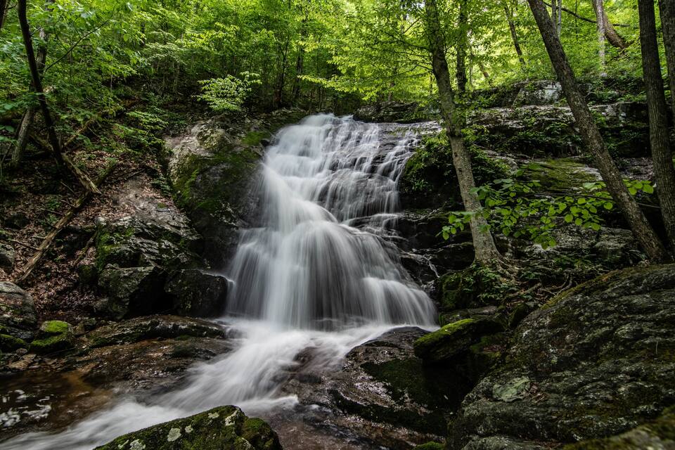 Una cascada fluye sobre rocas en un área boscosa.