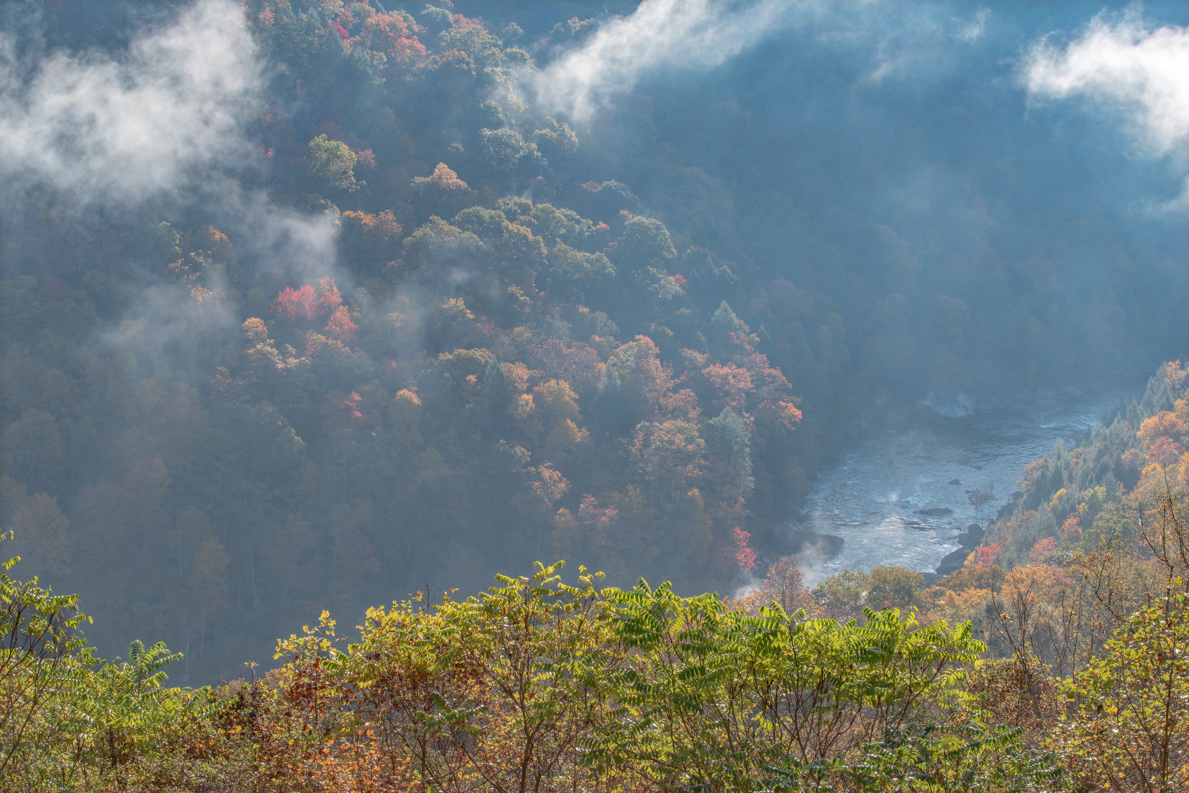 Gauley River haze, Carnifex Ferry Battlefield State Park, West Virginia