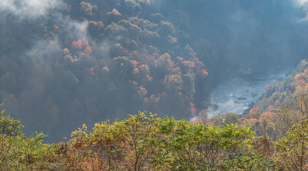 Gauley River haze, Carnifex Ferry Battlefield State Park, West Virginia