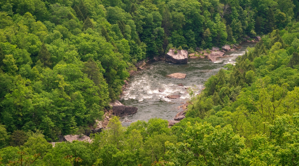 Carnifex Ferry State Park, American Civil War battle site in West Virginia