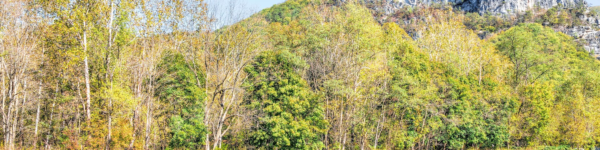 View of Seneca Rocks from visitor center during autumn, golden yellow foliage on trees in forest, lawn meadow grass
