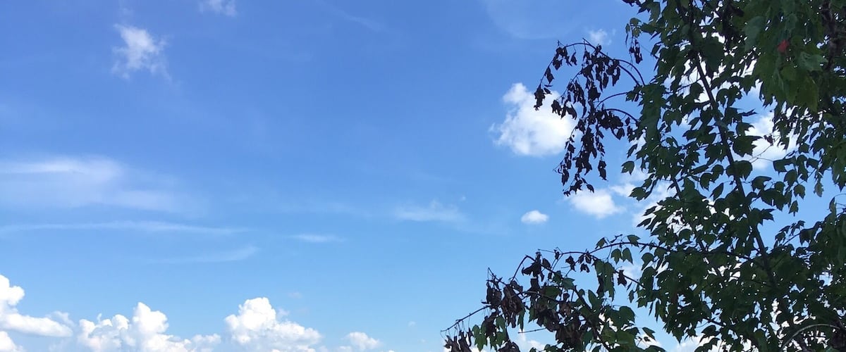 Attended a wedding here. This as the view :-)