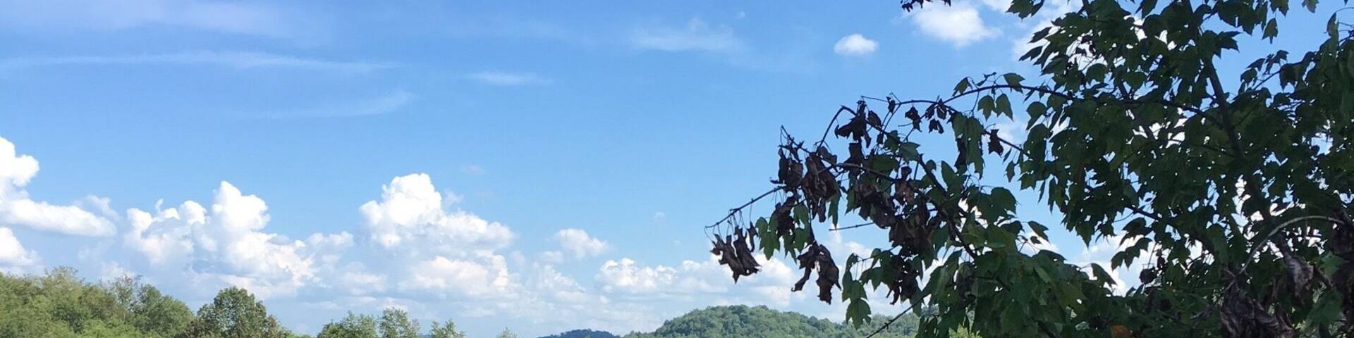 Attended a wedding here. This as the view :-)