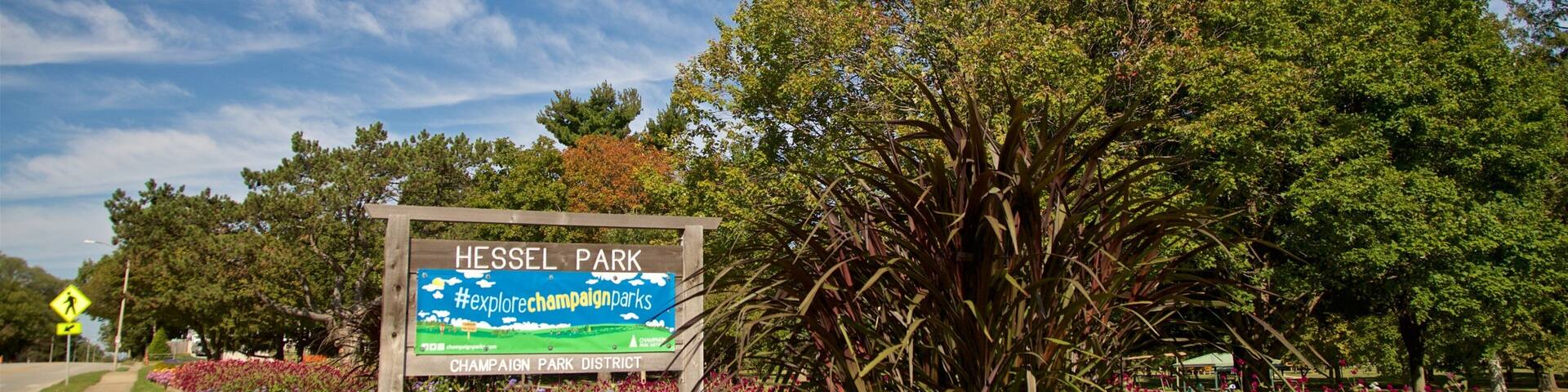 Hessel Park showing signage, wildflowers and a park
