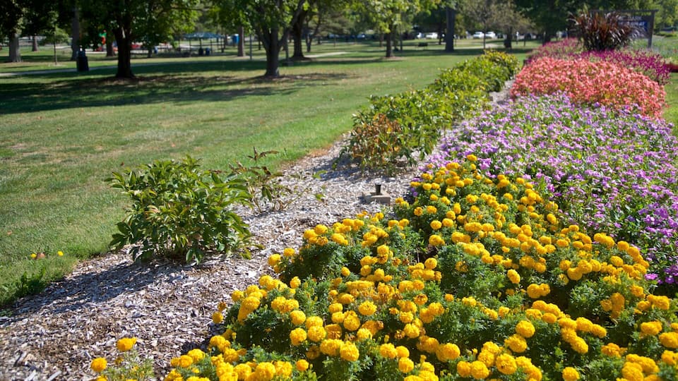 Hessel Park featuring wild flowers, a garden and flowers