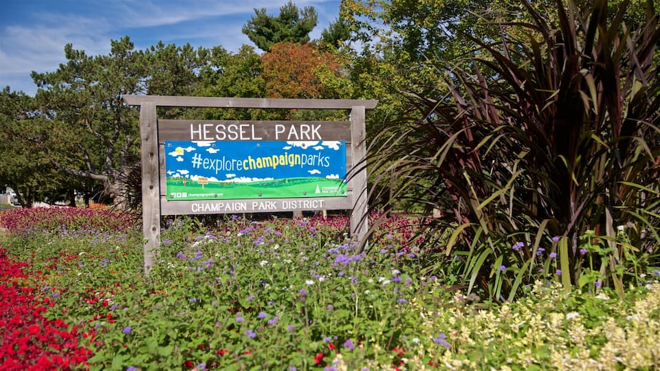 Hessel Park featuring wild flowers and signage