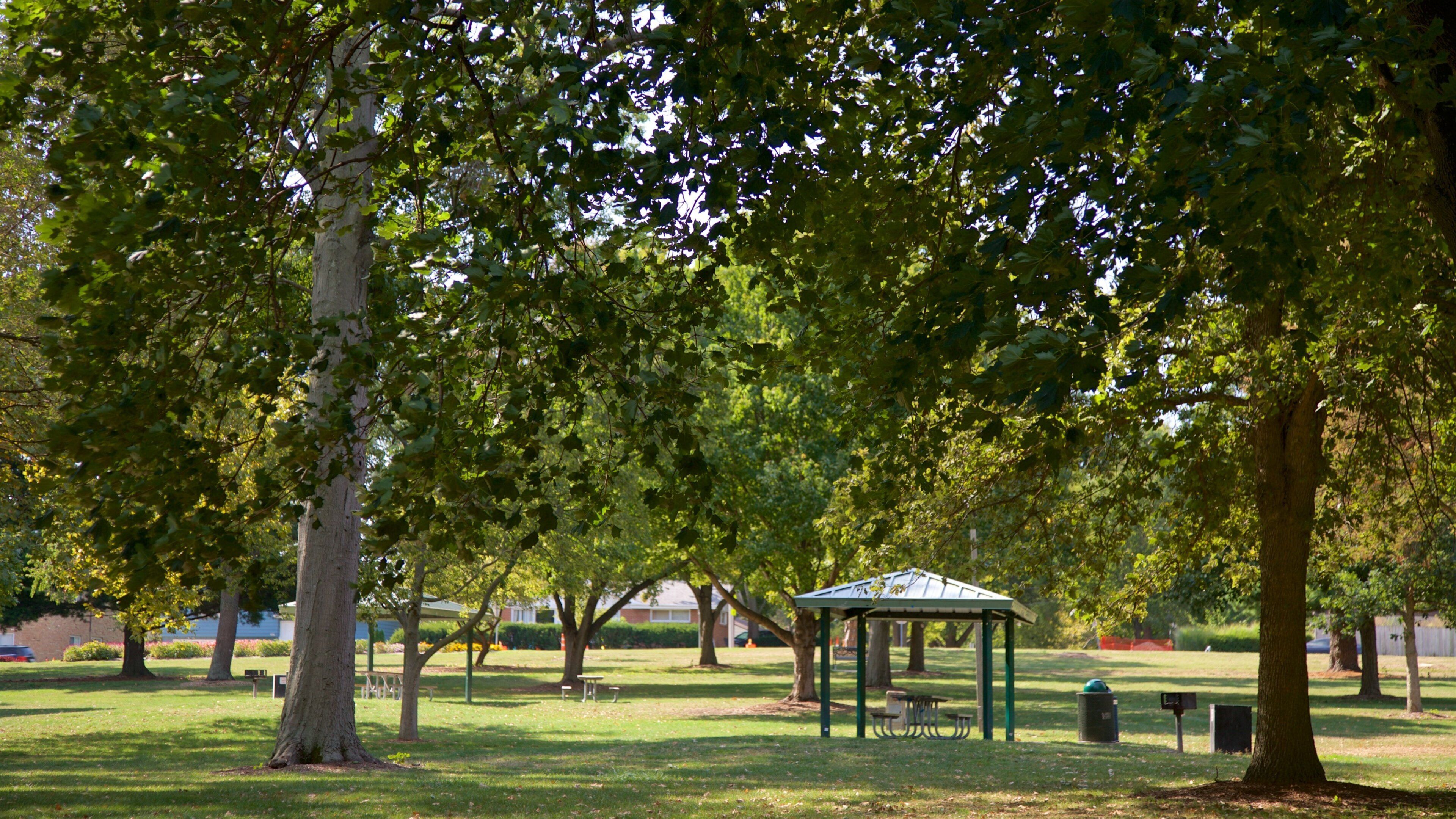 Hessel Park que incluye un parque