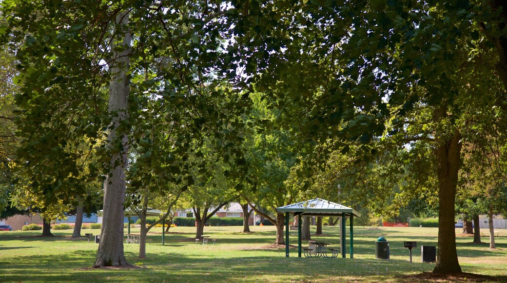Hessel Park que incluye un parque