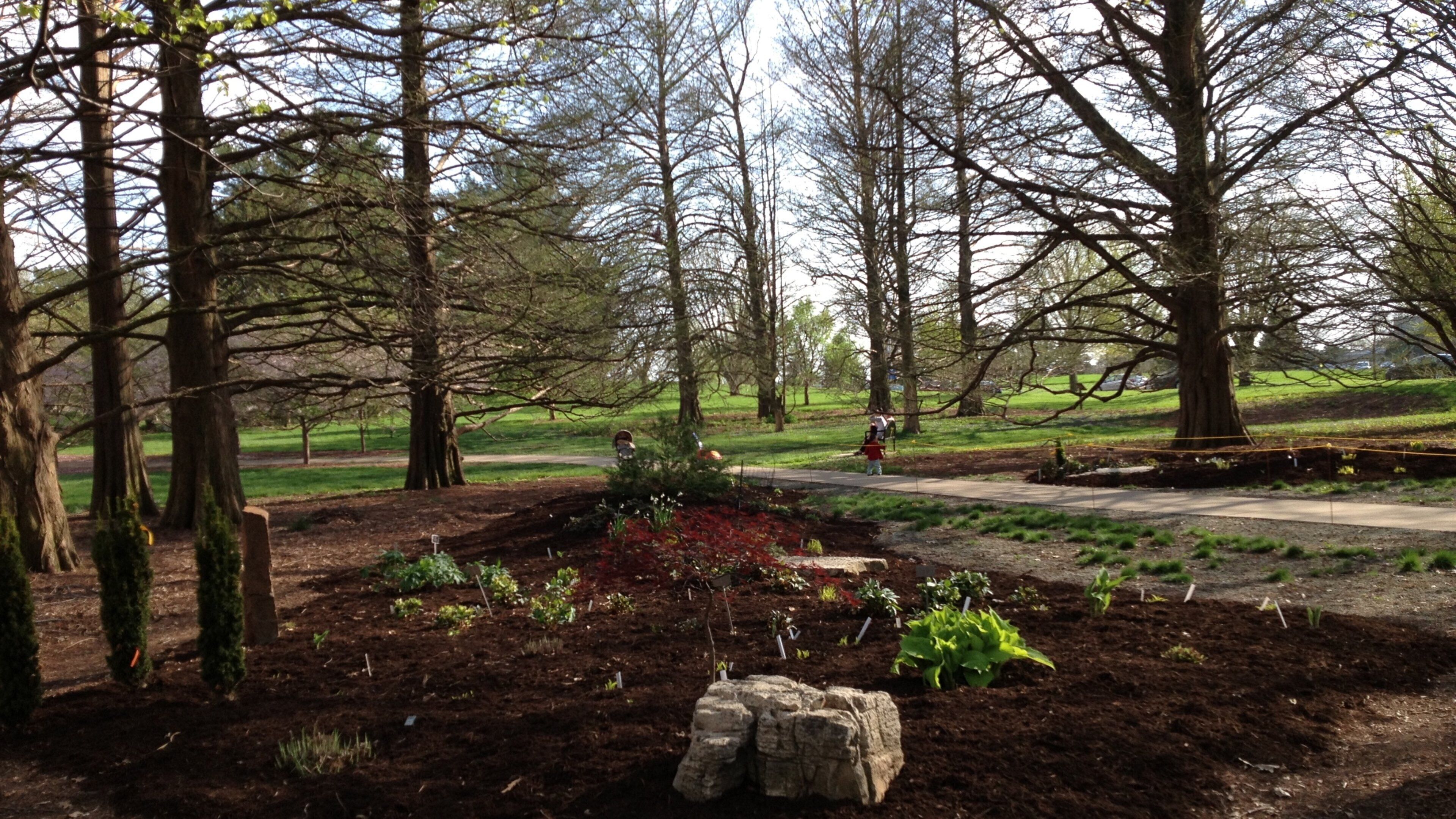 Champaign inclusief bossen en een park