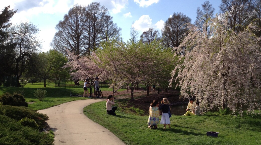 University of Illinois Arboretum featuring a garden and forest scenes