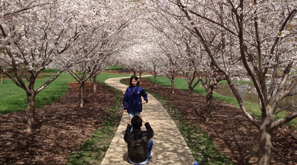 Champaign inclusief een tuin en ook een stel