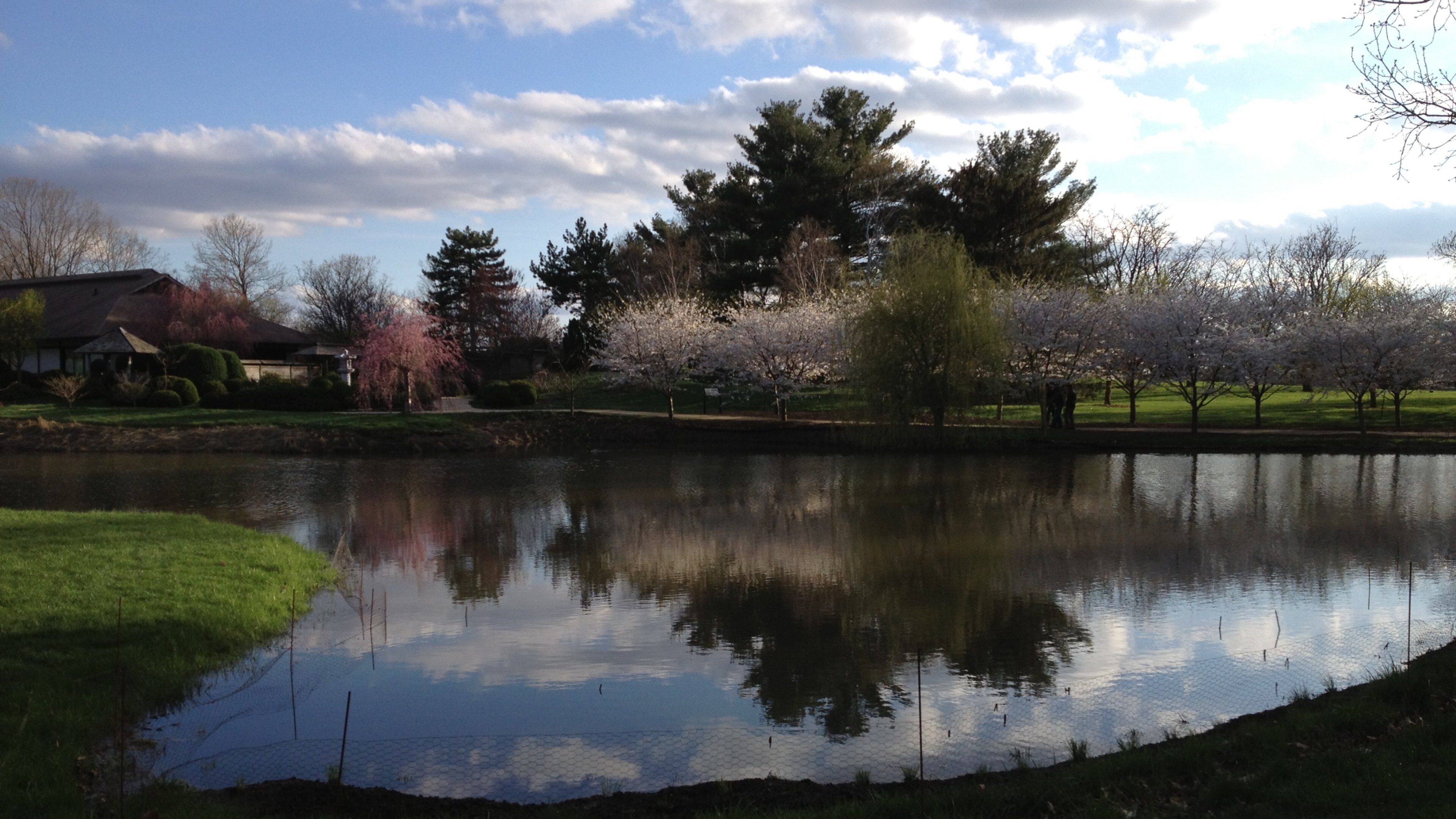 Champaign toont een meer of poel en een park