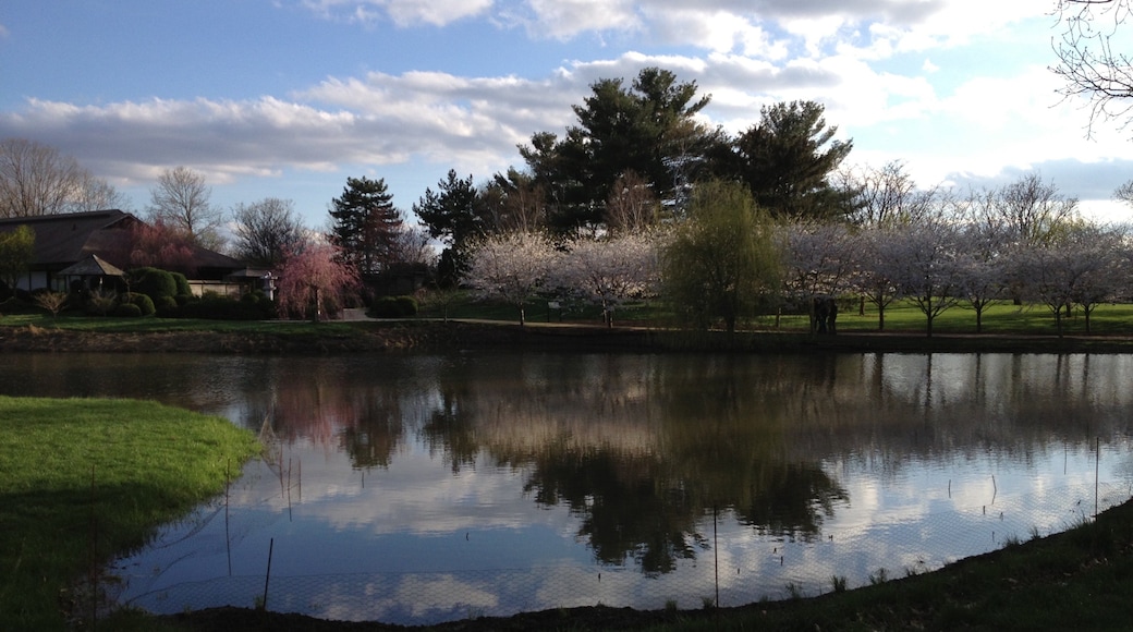 Champaign toont een meer of poel en een park