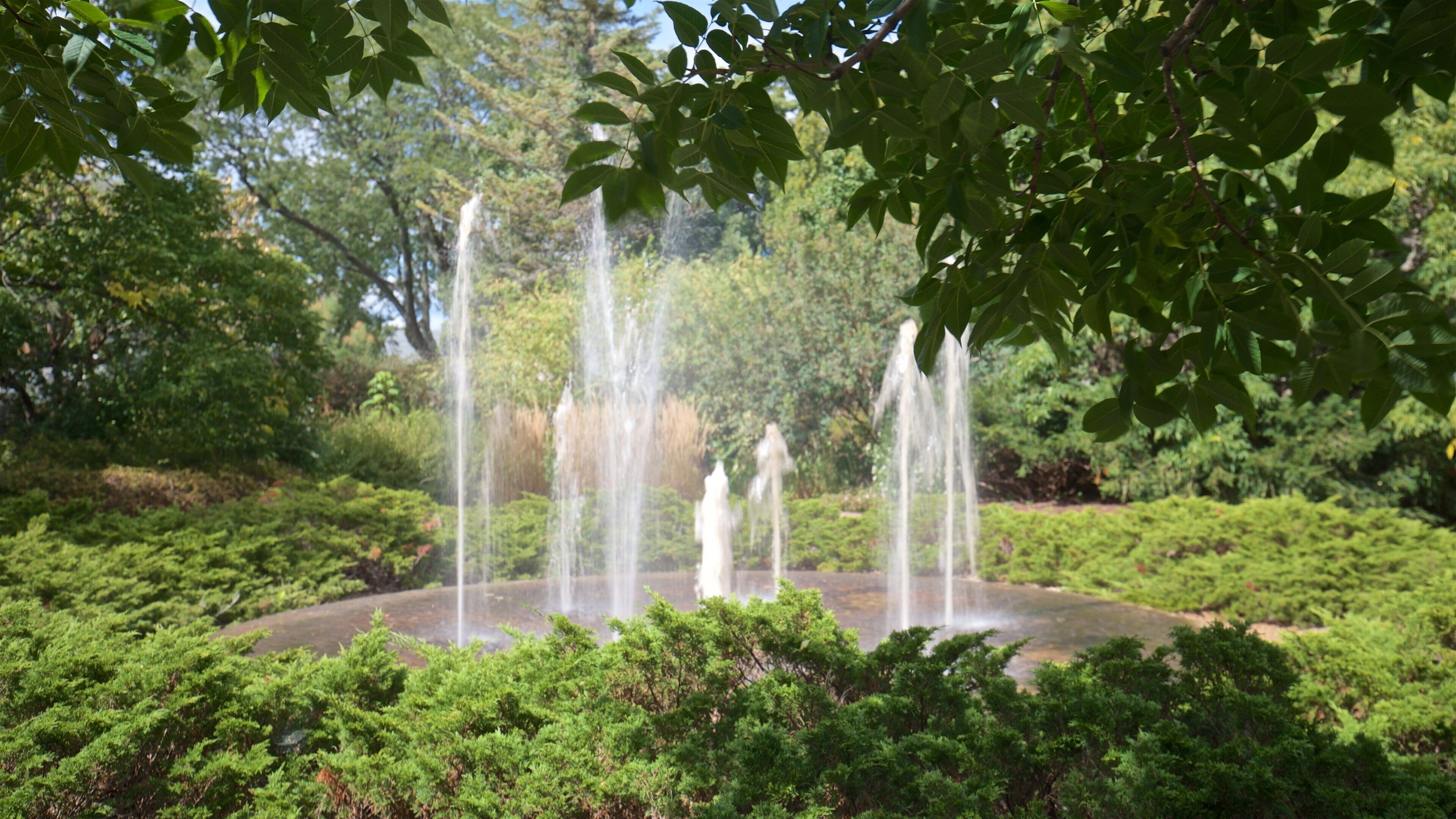 Luthy Botanical Garden mostrando una fuente y un parque