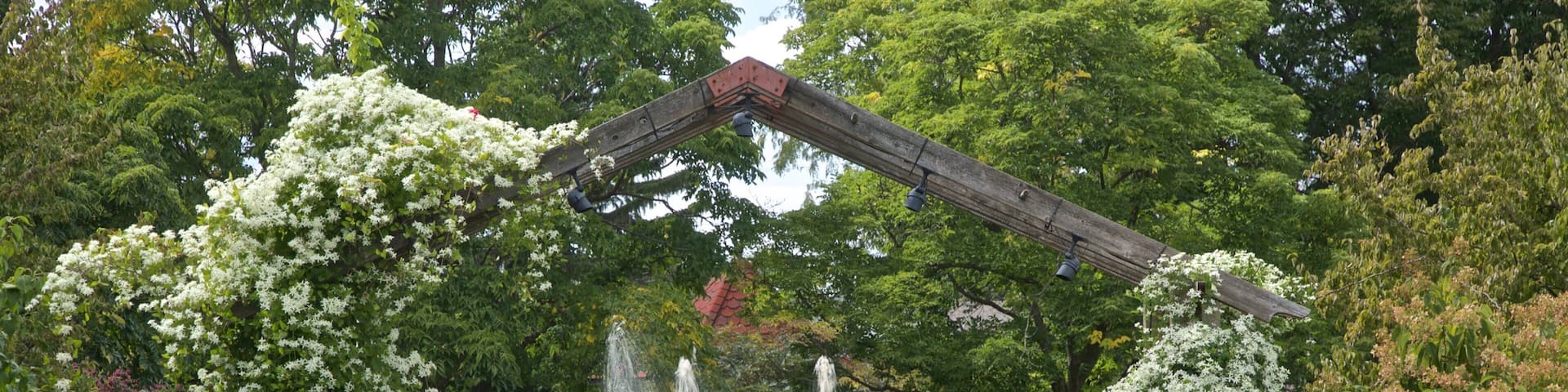 Luthy Botanical Garden which includes a fountain, a park and wildflowers
