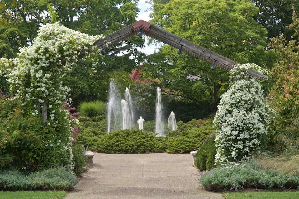 Um jardim com um arco de pedra, arbustos floridos brancos e um elemento central de água.