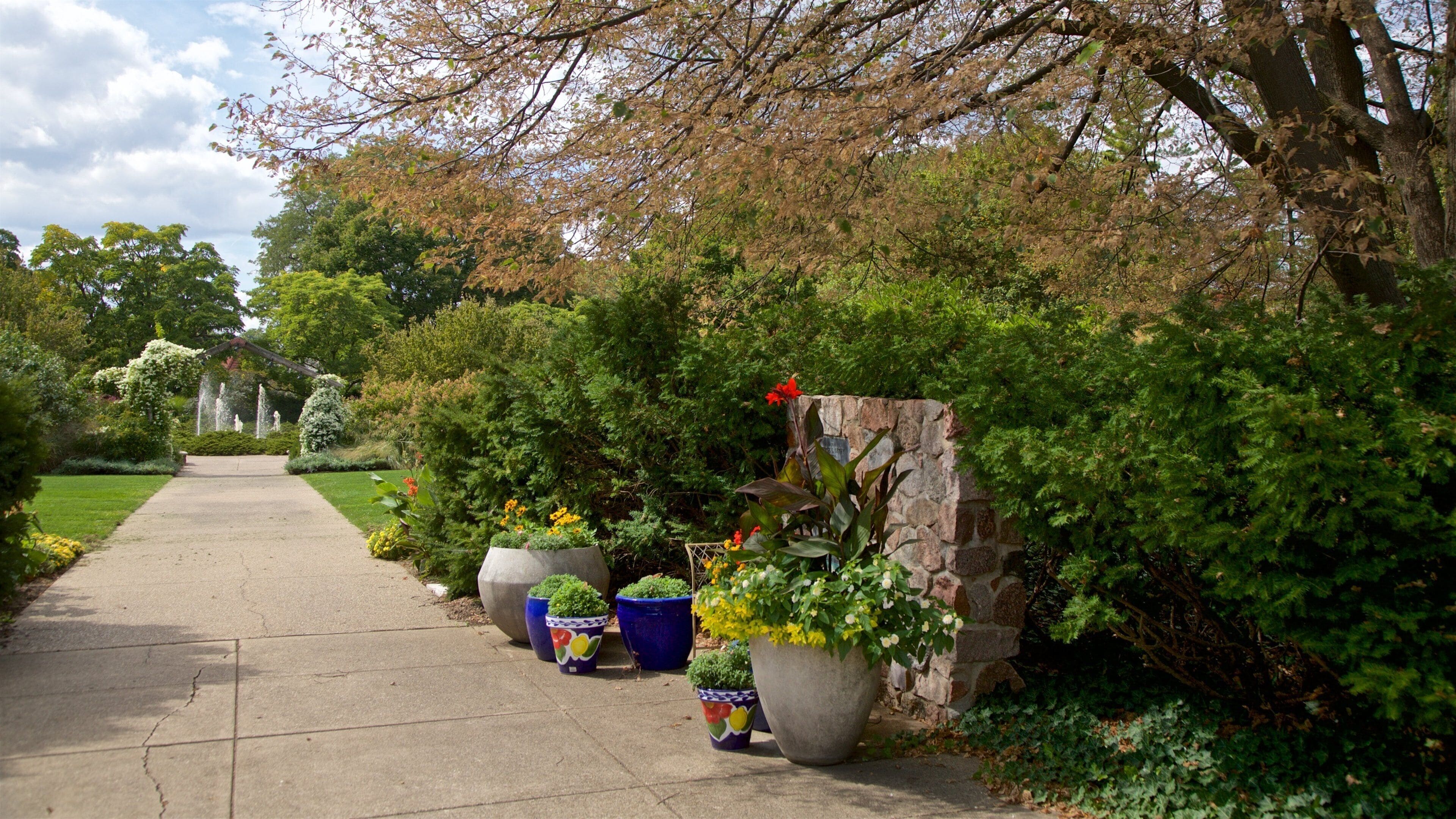 Luthy Botanical Garden qui includes jardin et fleurs
