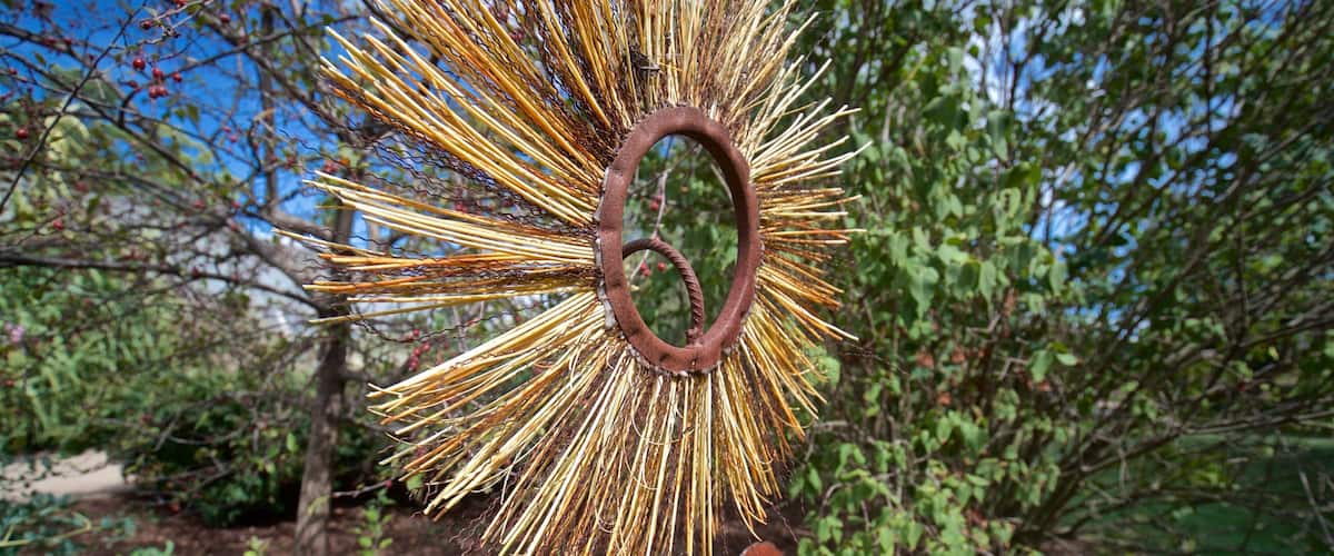 Luthy Botanical Garden which includes outdoor art