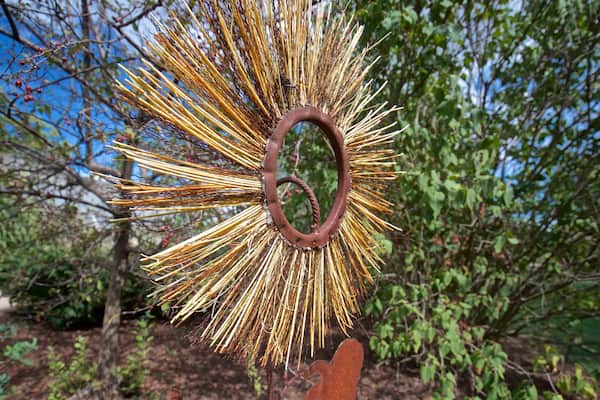 Luthy Botanical Garden welches beinhaltet Outdoor-Kunst
