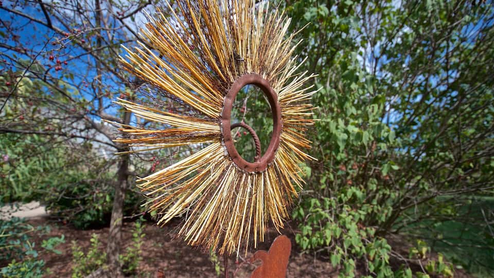 Luthy Botanical Garden which includes outdoor art