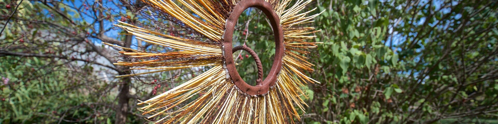 Luthy Botanical Garden caracterizando arte ao ar livre