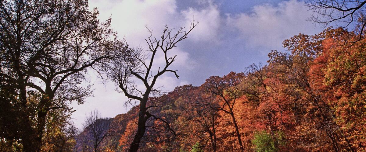 402-62 I&M Canal Sate Trail in Autumn