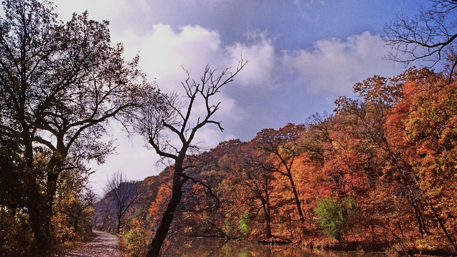 Illinois & Michigan Canal State Trail