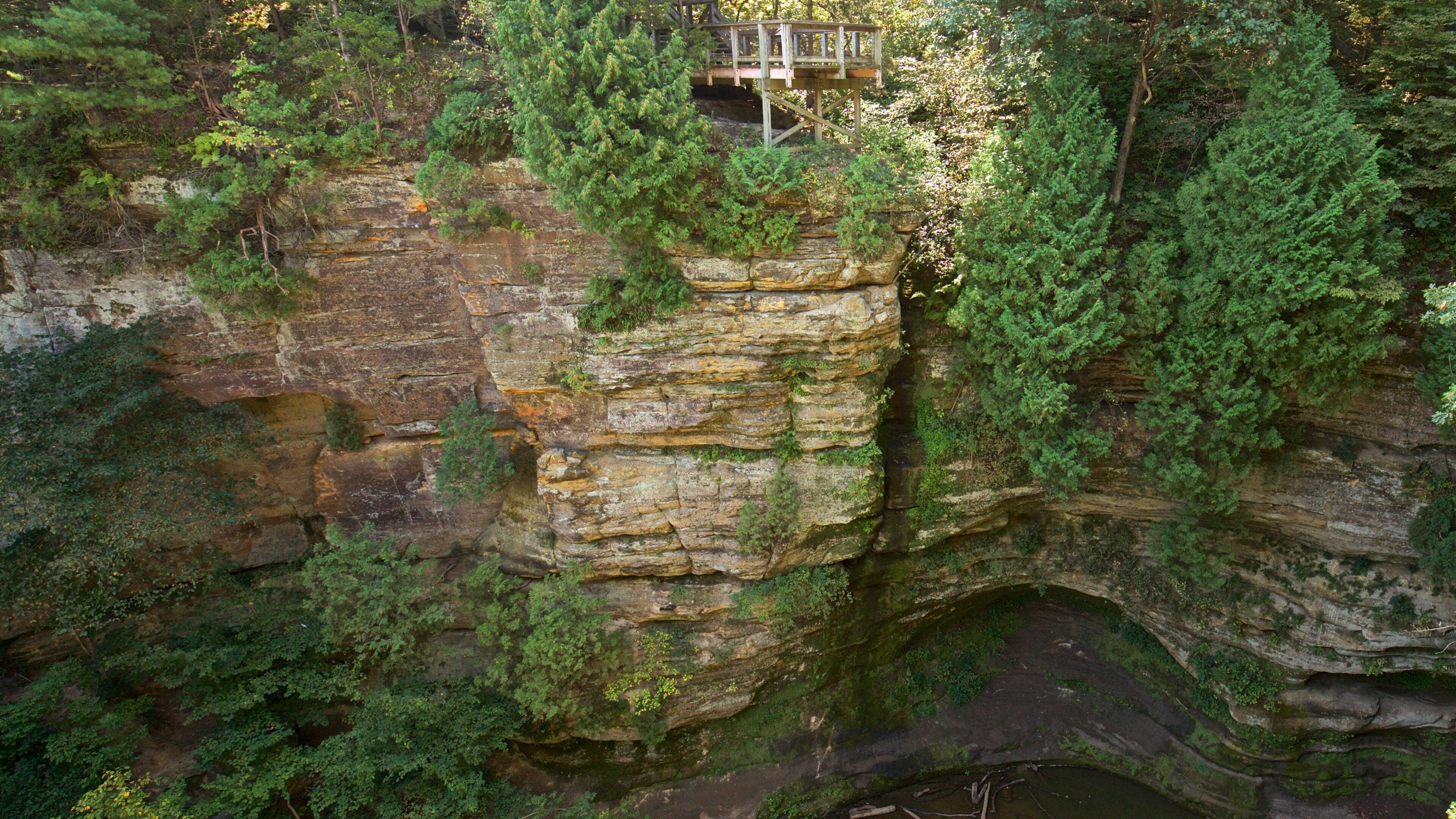Starved Rock State Park featuring forest scenes and a gorge or canyon