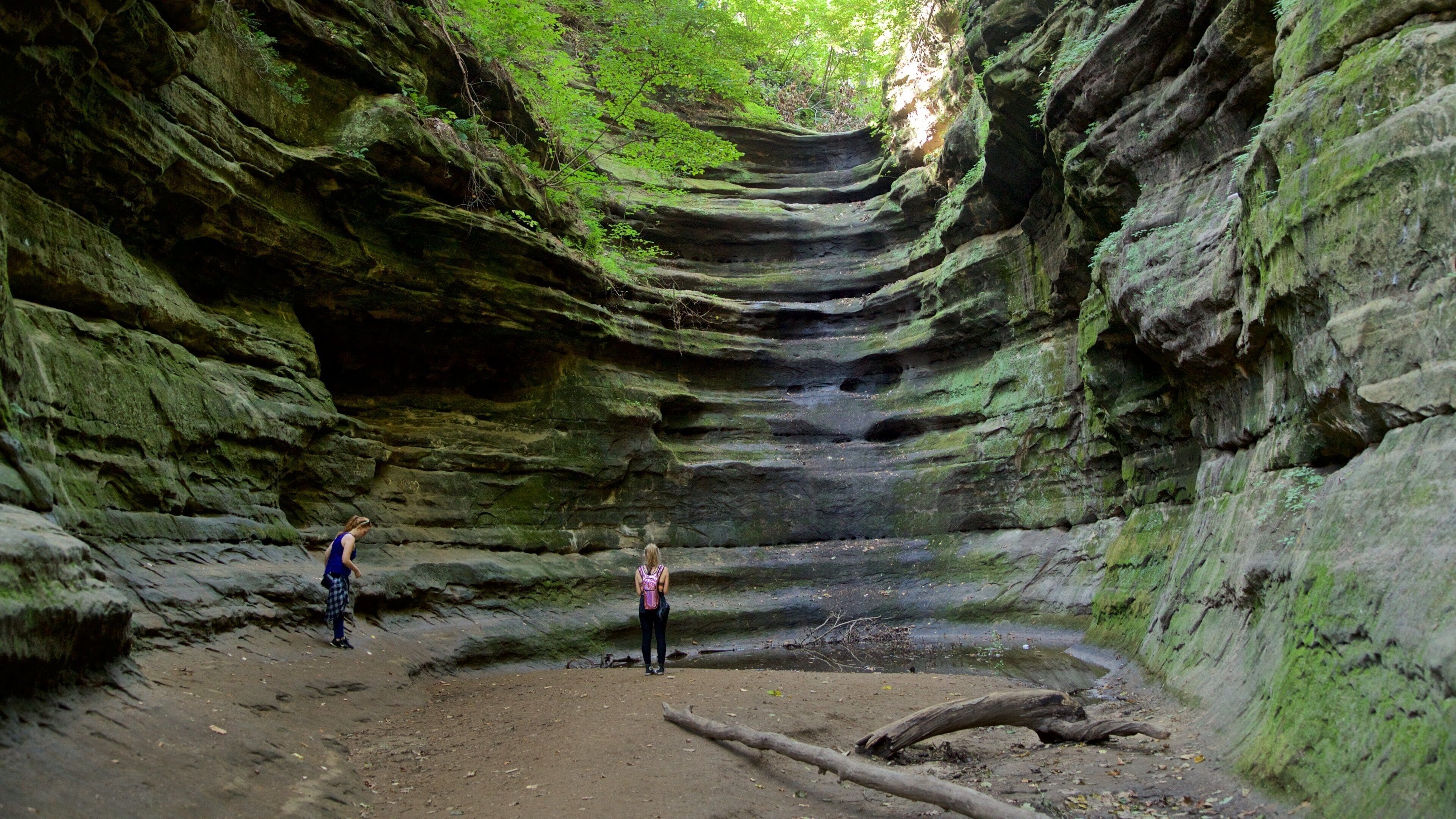 Starved Rock State Park which includes forest scenes as well as a couple