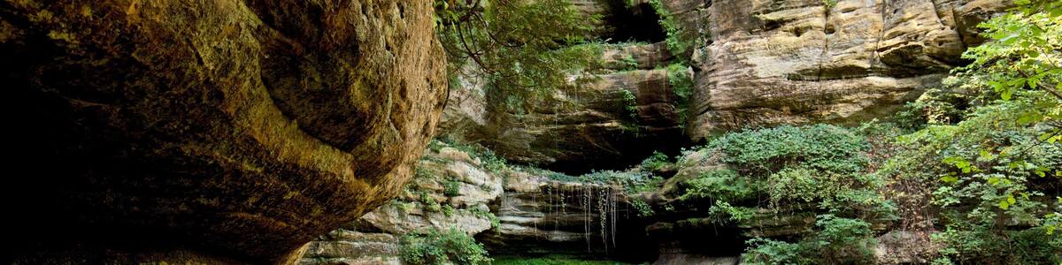 Starved Rock State Park featuring a cascade