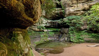 Starved Rock State Park