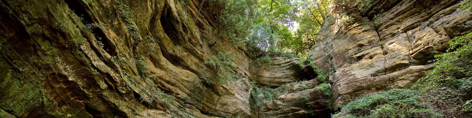 Parc d\'Ătat de Starved Rock qui includes scĂšnes forestiĂšres